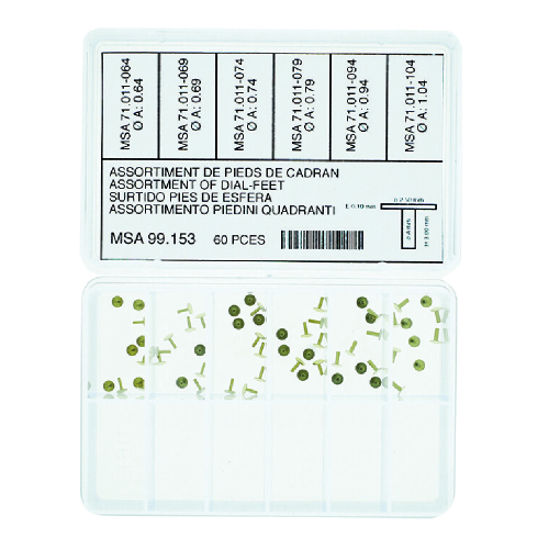 ASSORTIMENTO DI 60 PIEDINI PER QUADRANTE - 6 MISURE