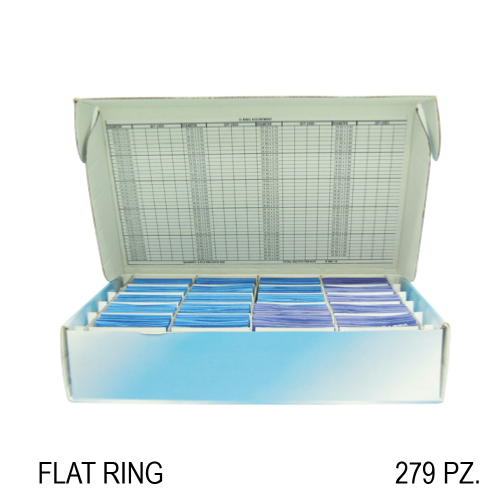 ASSORTIMENTO 300 FLAT RING