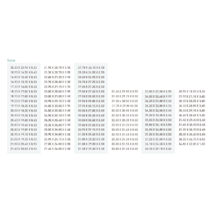 ASSORTIMENTO 300 FLAT RING